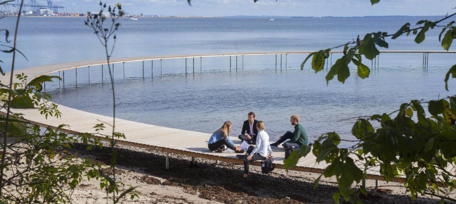 Meeting on infinity bridge in Århus